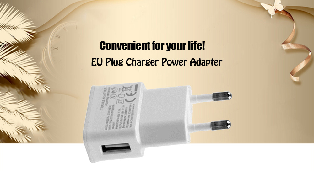 EU Plug Charger Power Adapter 5V 2A